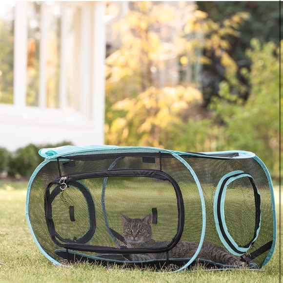 Outdoor Cat Play Combo - Picture 5 of 12